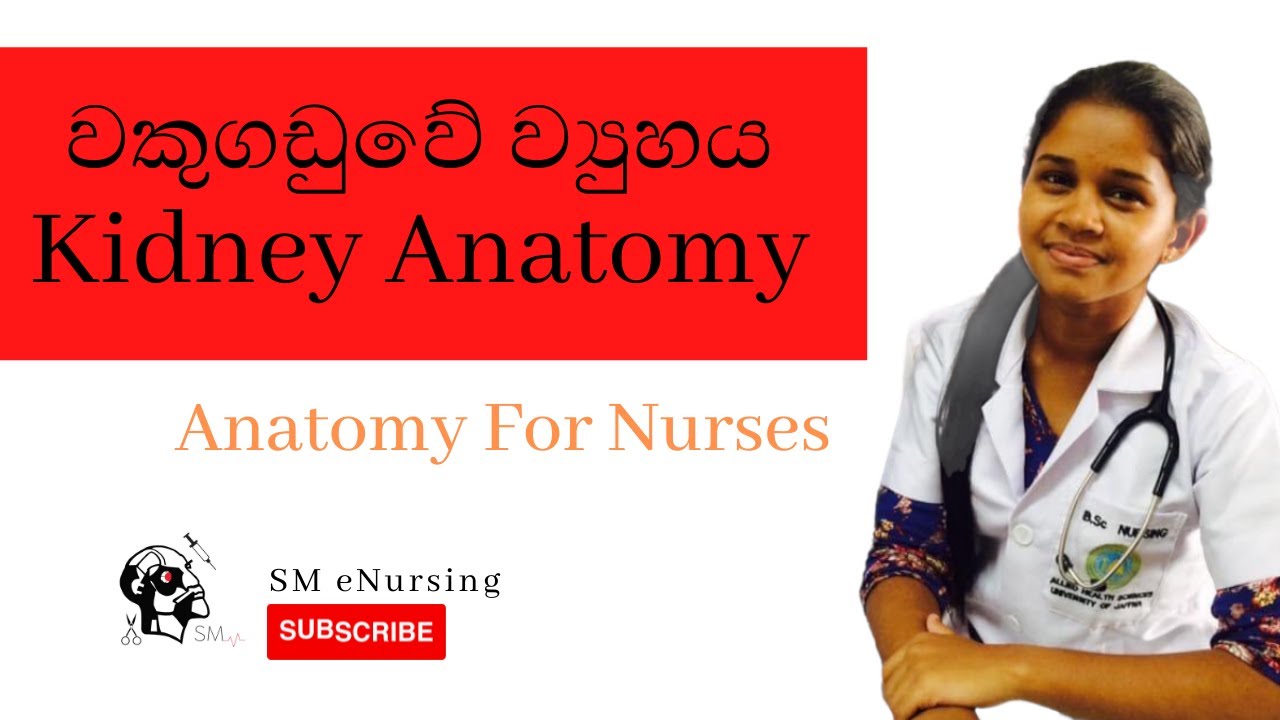 Anatomy of Kidney|Anatomy For Nurses|By Sarani Malshani