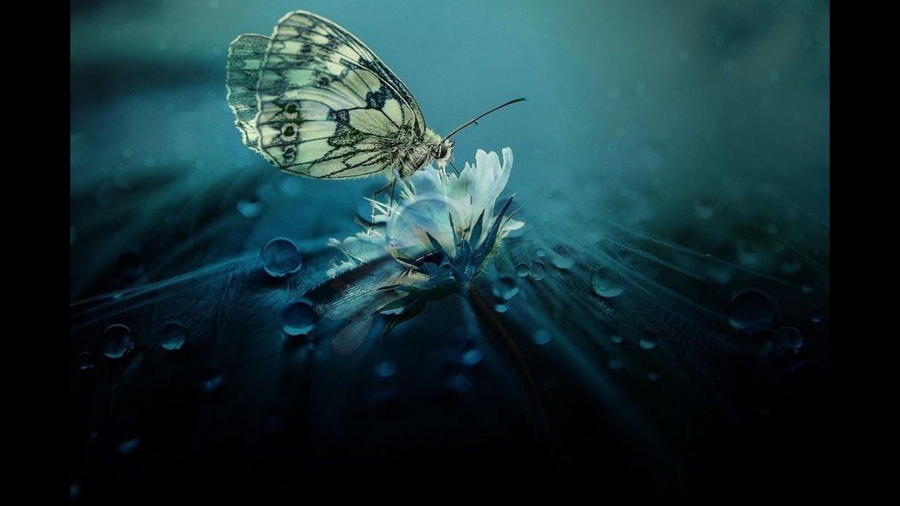 Secchezza vulvare: i benefici del gel a base di spermidina e acido ialuronico