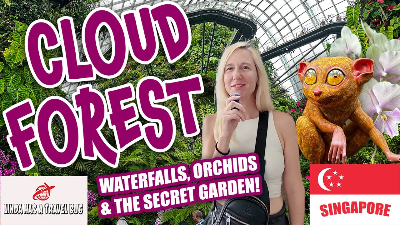 Explore Singapore's Cloud Forest: Orchids, Rare Plants & the World’s 2nd-Largest Indoor Waterfall