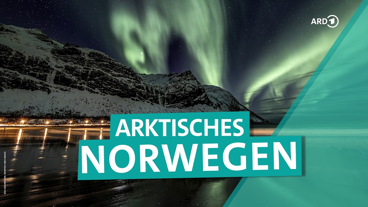 Arktisches Norwegen: Nördlicher Polarkreis mit Polarlichtern und Orca-Schnorcheln | ARD Reisen