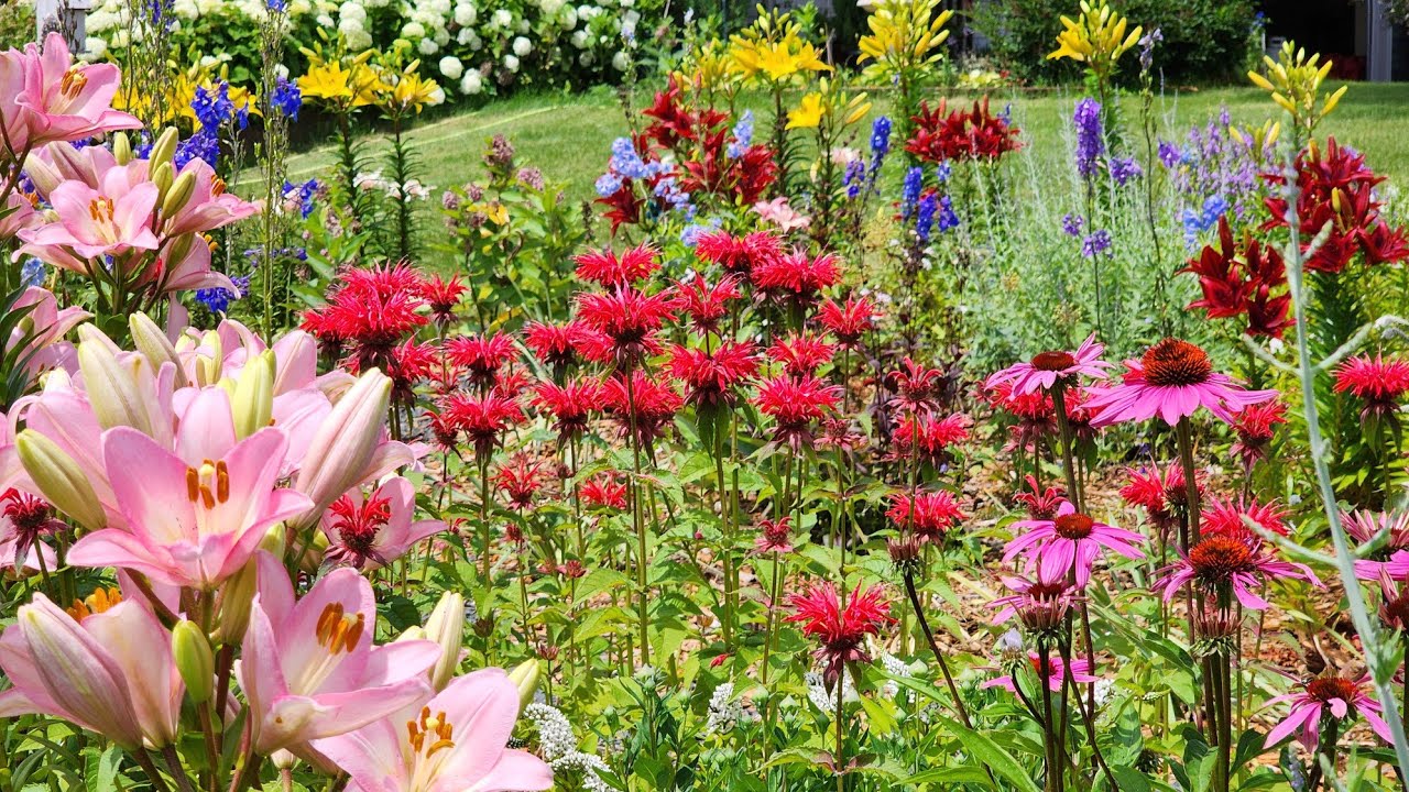 Beautiful Garden Color All Season 