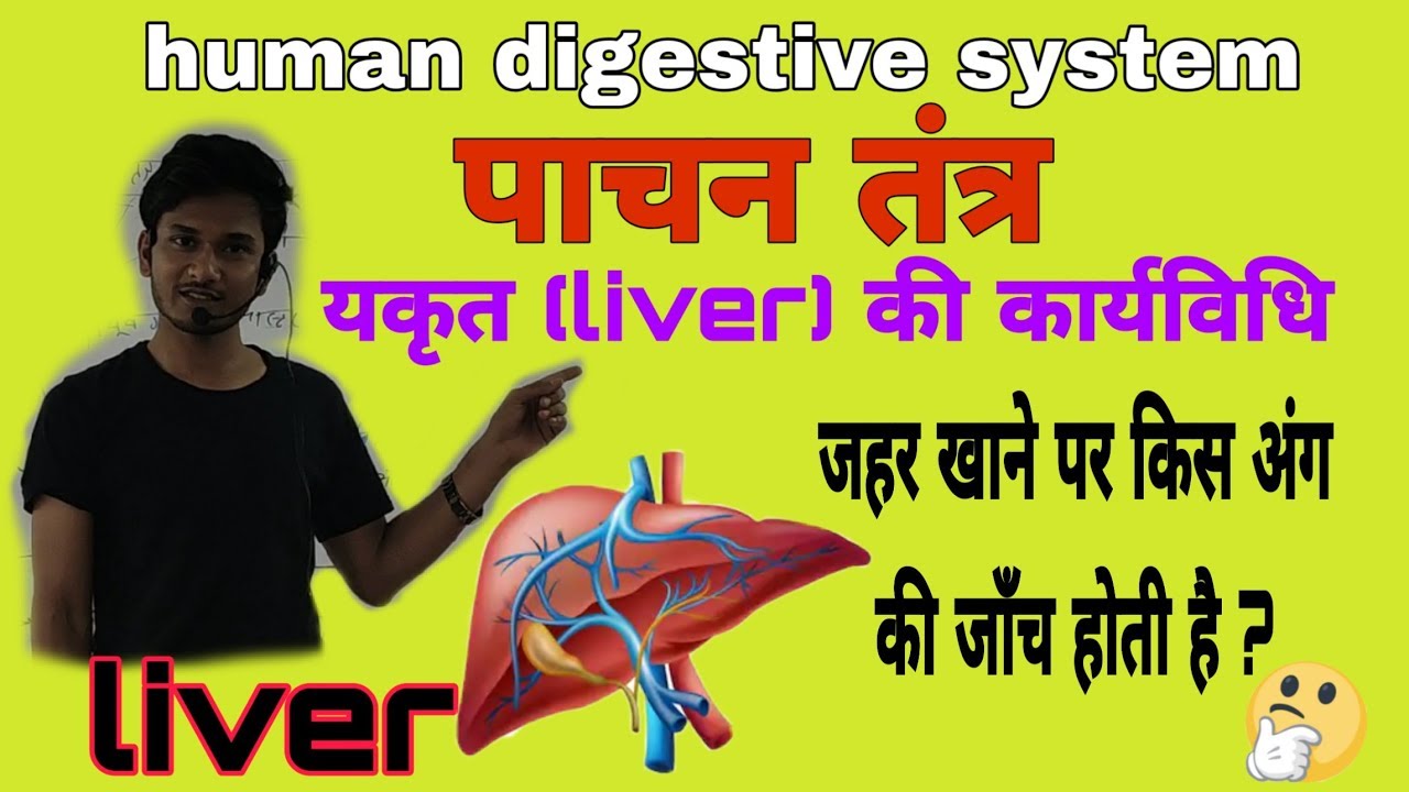Science :यकृत (liver)के कार्य / by-akash sir /lecture 19