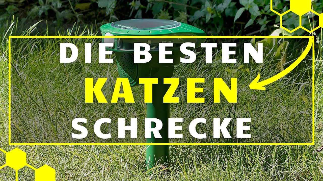 Katzenschreck TEST - Die besten Katzenschrecke im VERGLEICH