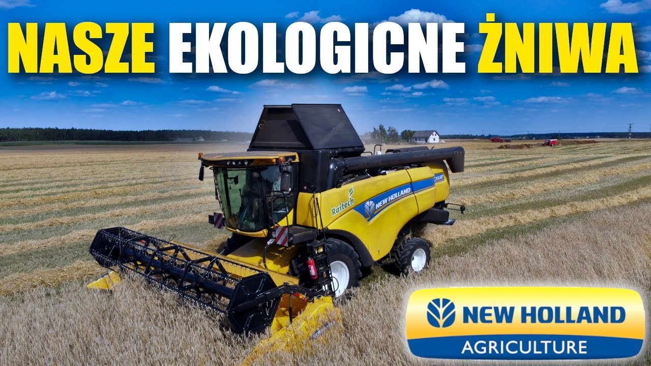 ŻNIWA ZA POŁUDNICĄ | 4,5T PSZENŻYTA !!! Ekologiczne Bogactwo ;)