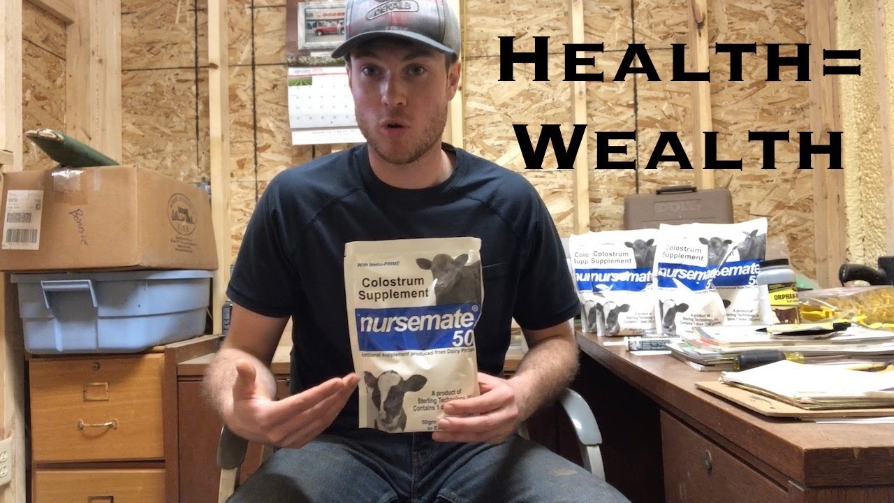 5 Steps For Healthy Calves