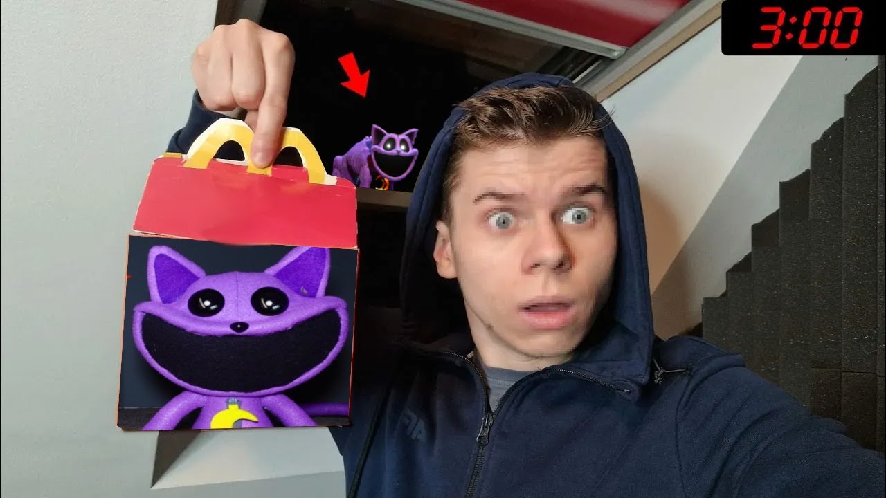 ZAMÓWIŁEM DZIWNEGO HAPPYMEALA... CATNAP