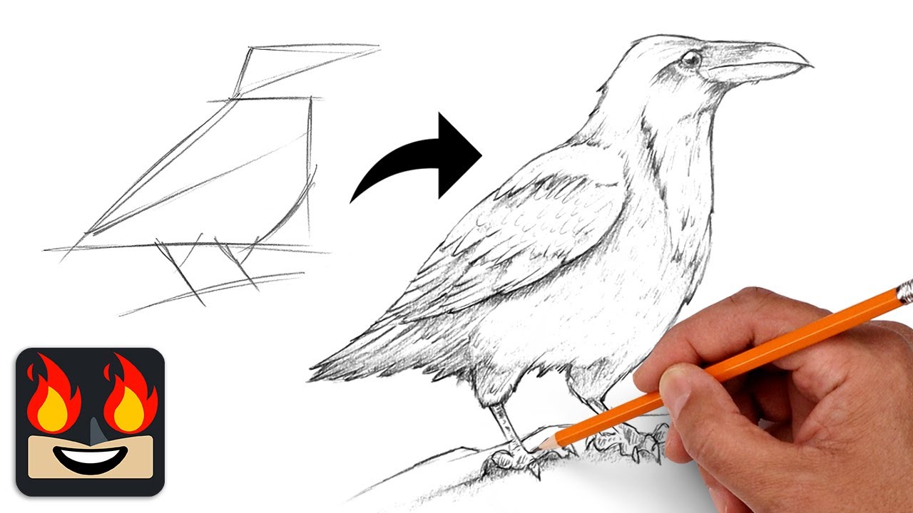How To Draw a Raven | Sketch Workshop