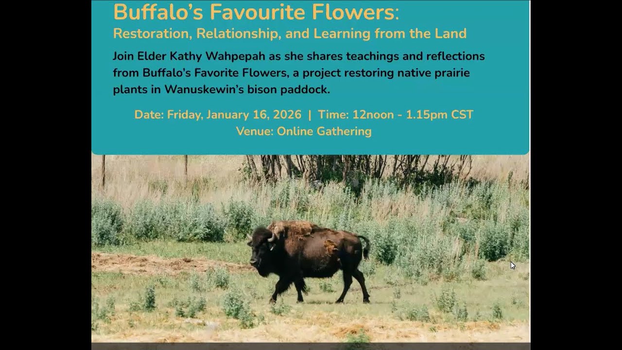 Buffalos' Favourite Flowers with Elder Kathy Wahpepah hosted by the PFSVN