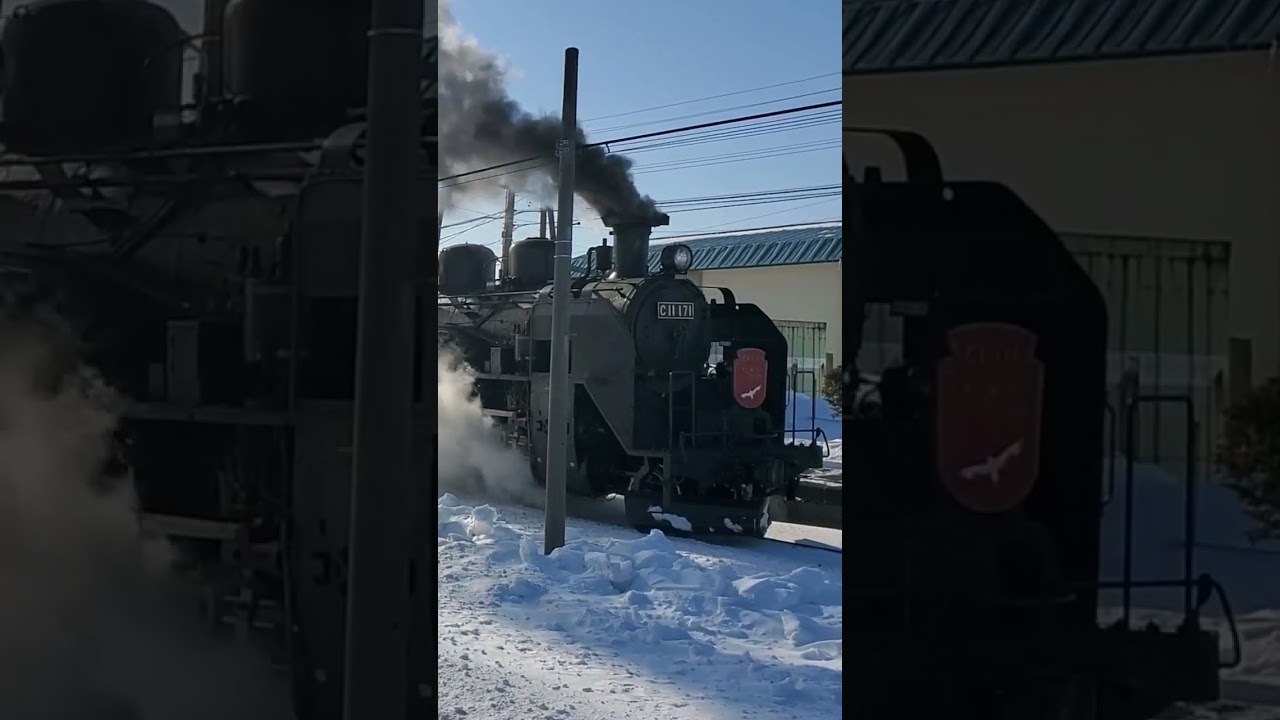 C11 171