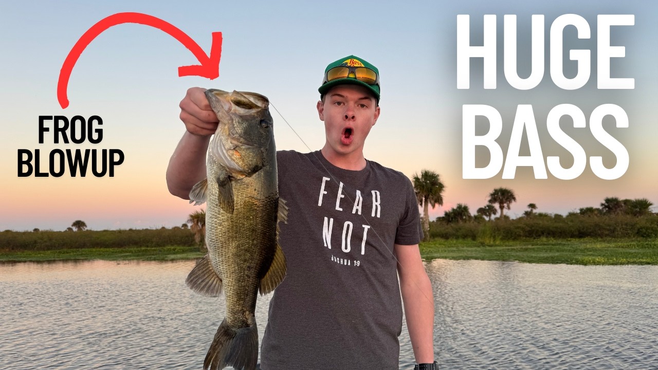 GIANT Bass Are Stacked in Lake Headwaters | INSANE 🎣