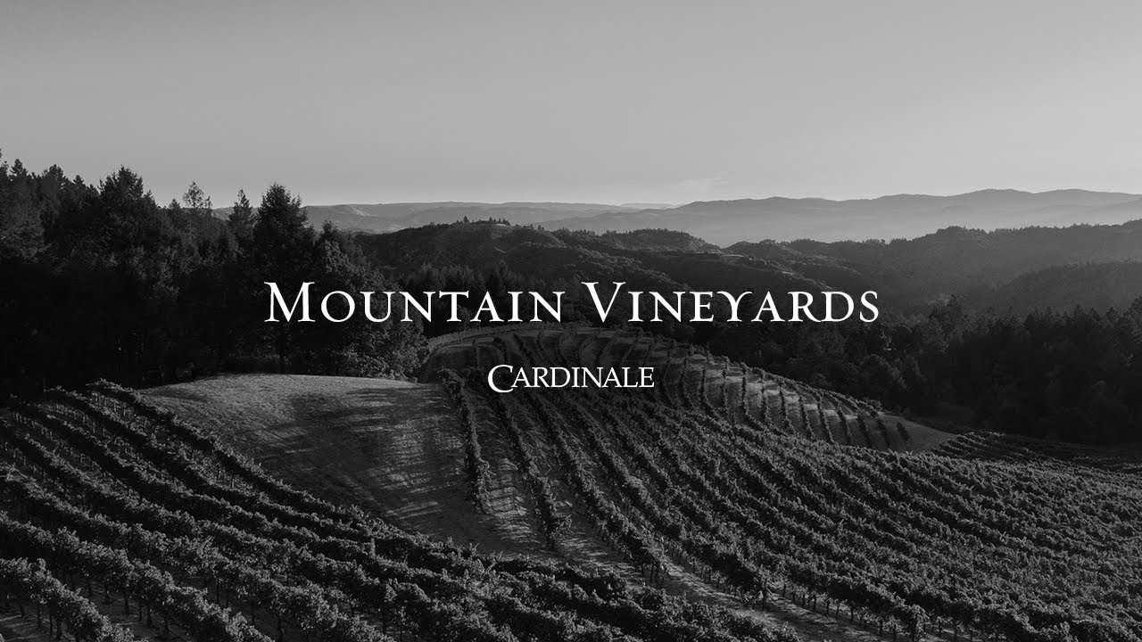 The Mountain Vineyards of Napa Valley | Cardinale Wines