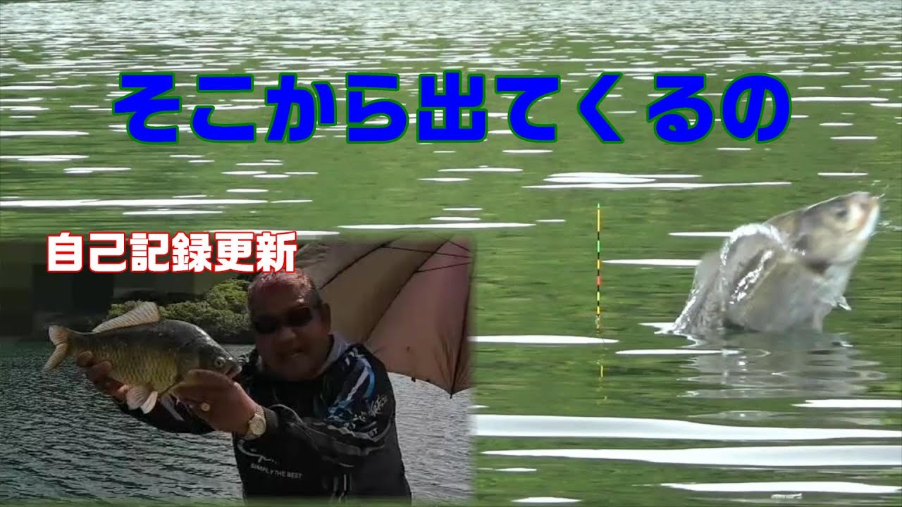 2024年尺半チャレンジ【最終日】　48.0の壁は本当に高いと実感　へら鮒釣りは楽しい