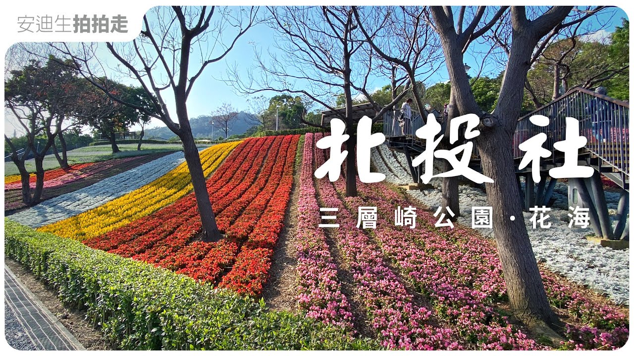 2026 花IN台北｜台版富良野【 北投社三層崎公園 】 最美彩色浪花海！