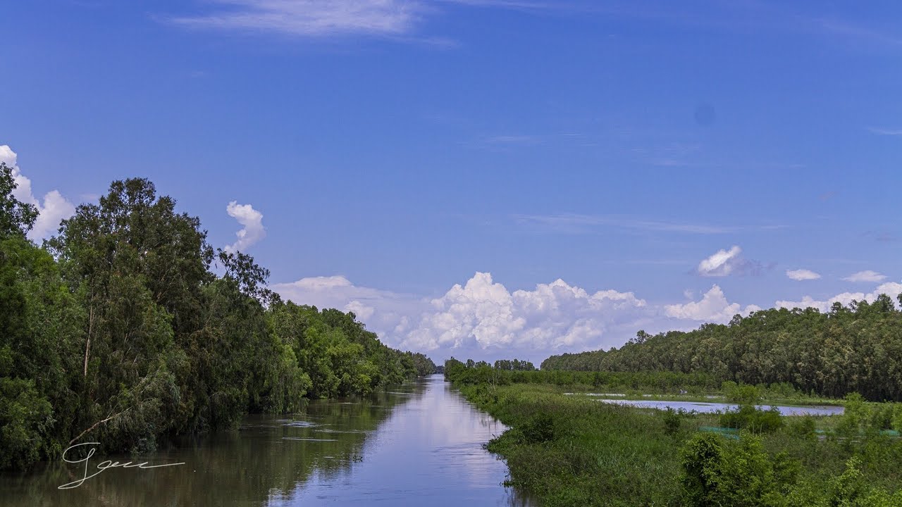 Nông thôn Việt Nam/ Vietnamese village