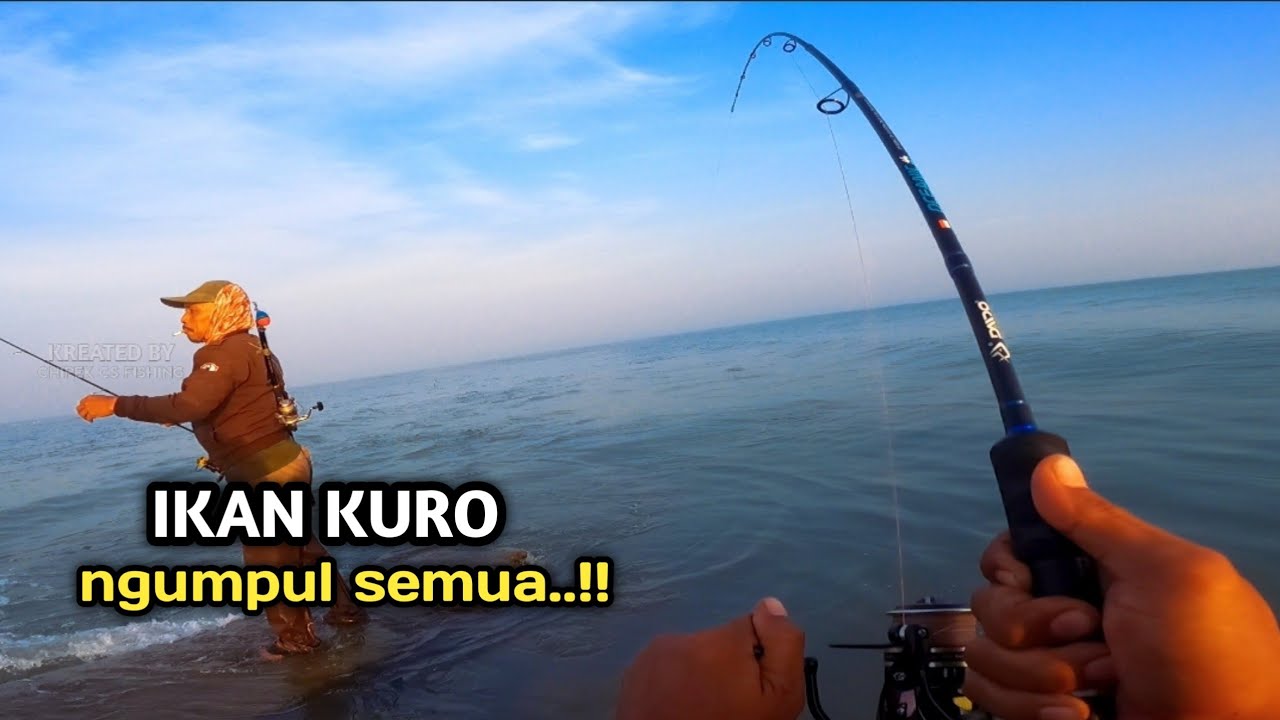 yakin gk ketagihan‼️ikan kuro di sini bergerumun||pantai pondok bali