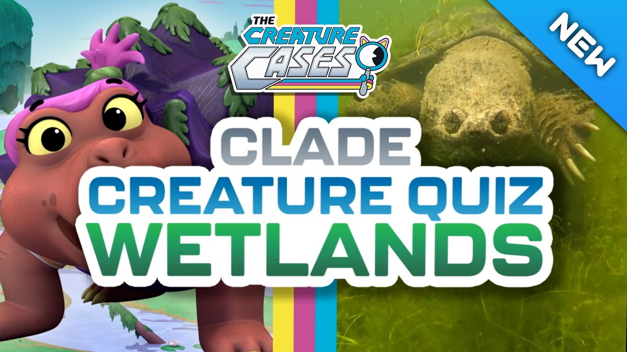The Creature Cases - 🐊 Can You Complete Our Fun Creature Quiz? 🏆 | 💦 Wetlands Animals