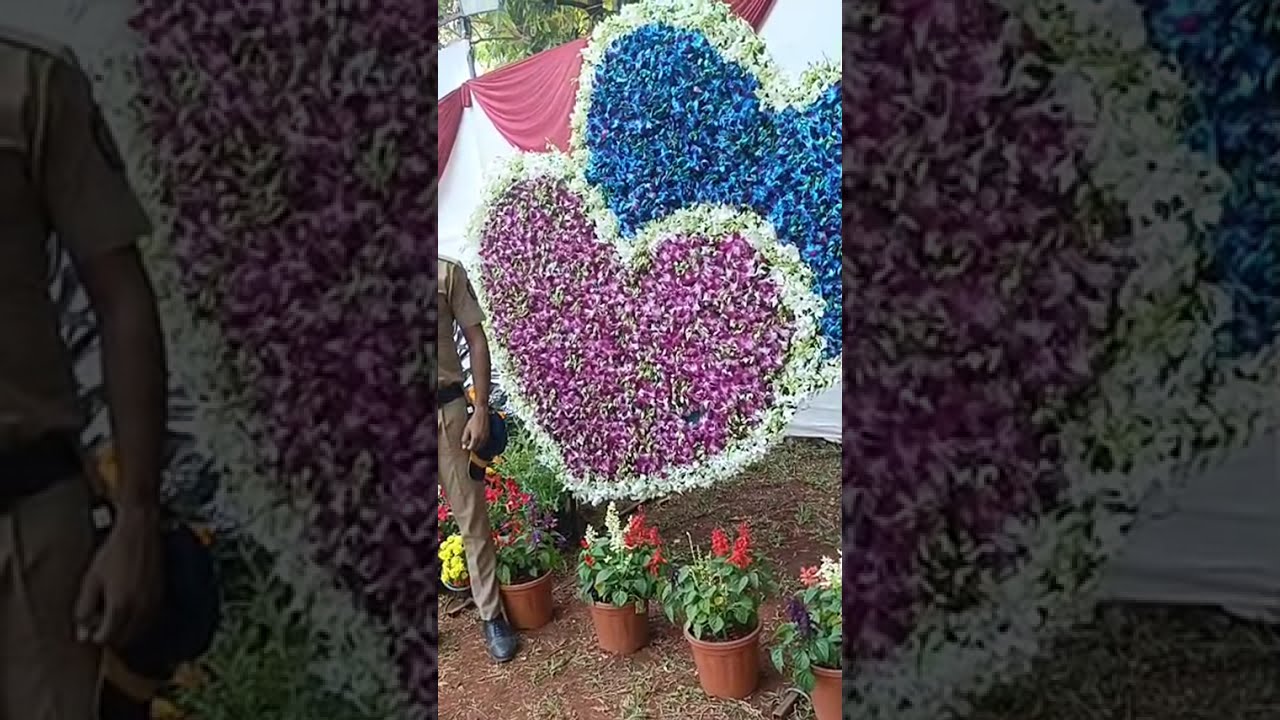 Flower show 