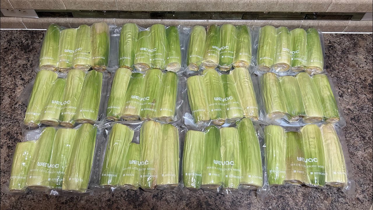 Processing our Sweet Corn