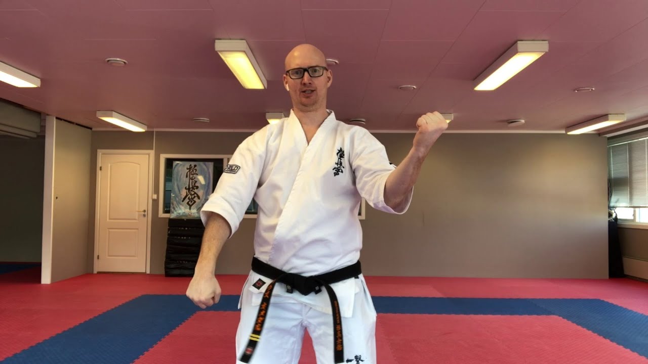 Seiken Chudan Uchi Uke Gedan Barai