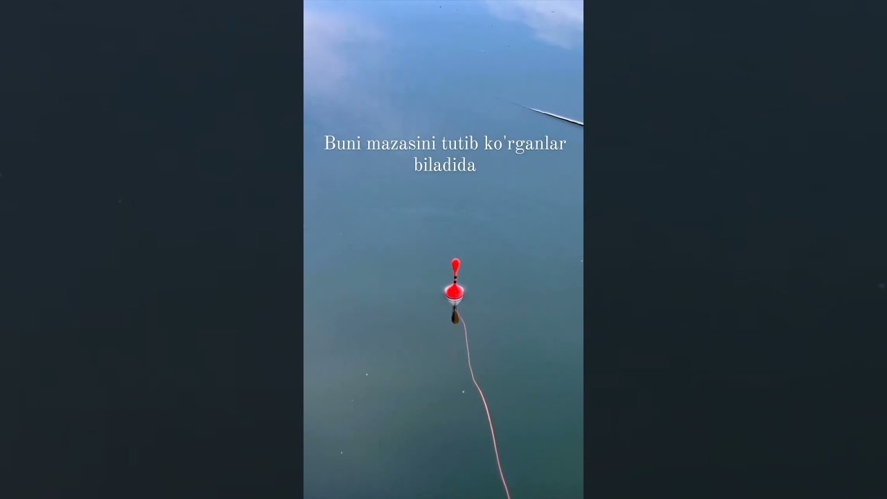 Балик ови Рыбалка Ташкент #fishing #рекомендации #carpfishing #топ #поклевка #наропловек#рыбалка