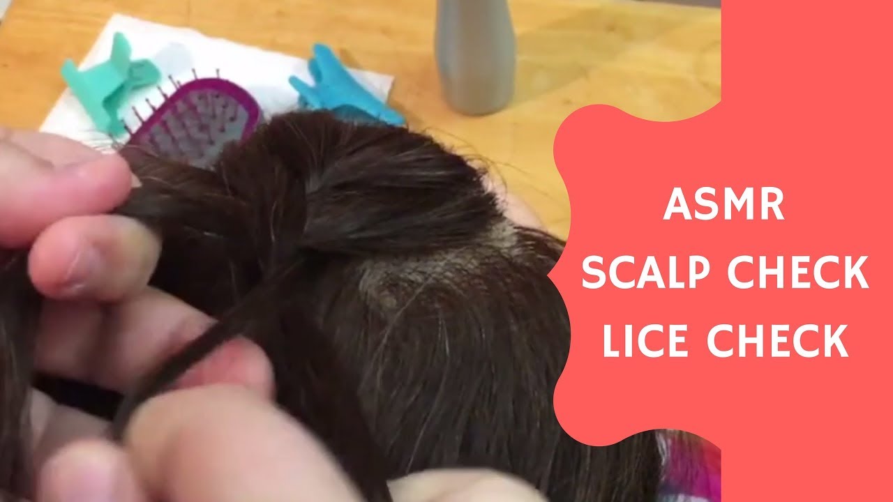 ASMR Hair brushing/hair do on mannequin head (no talking)