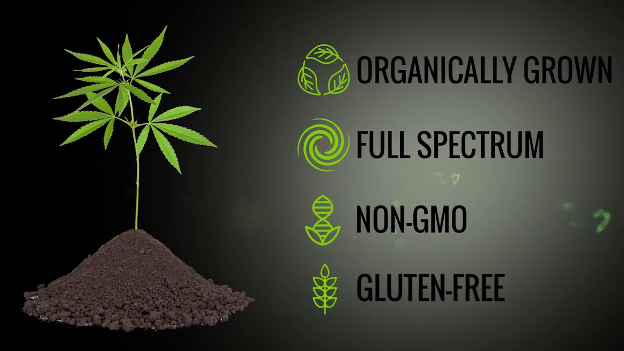 CBD-Rich Hemp Oil
