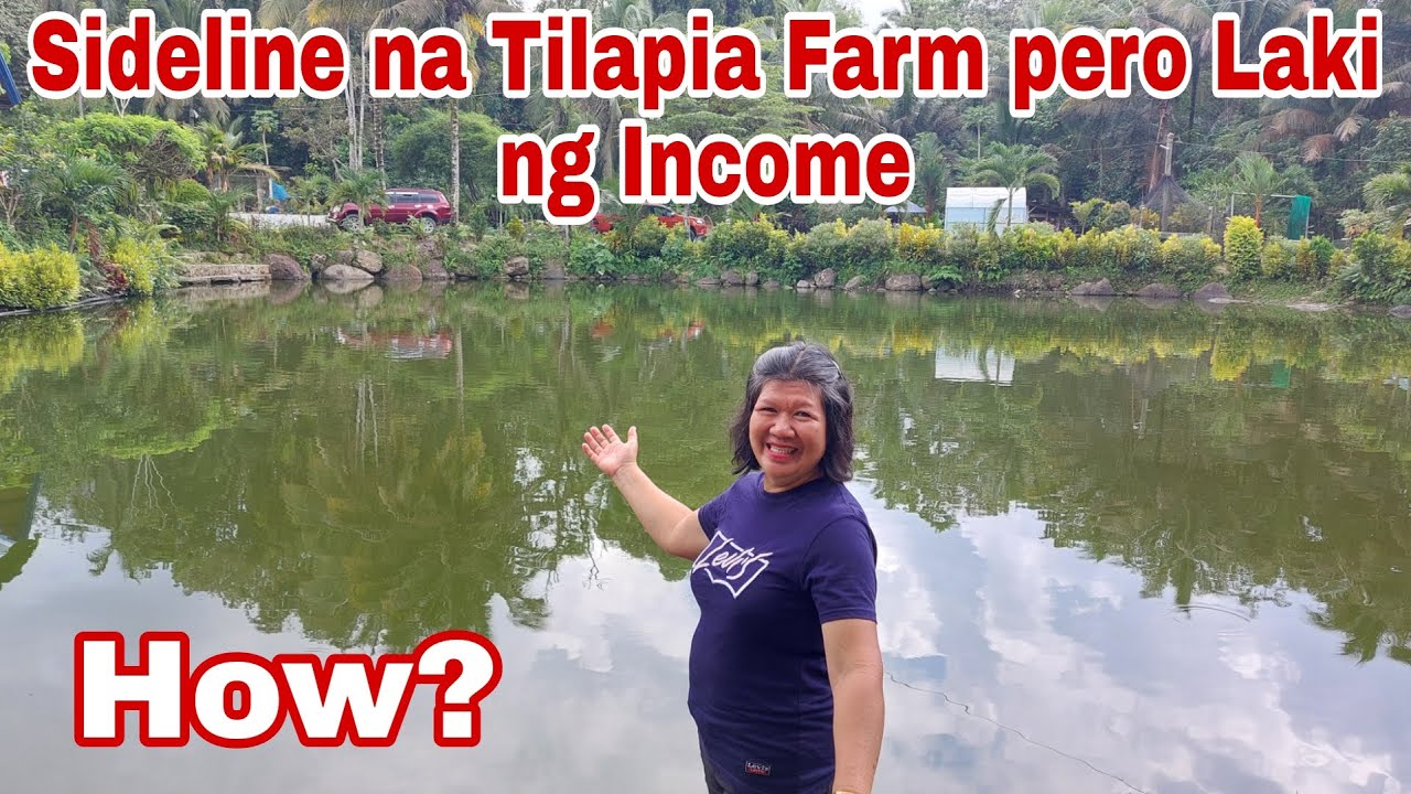 Teacher Kumikita ng 6-Digit per Month sa Tilapia Farm, Paano?