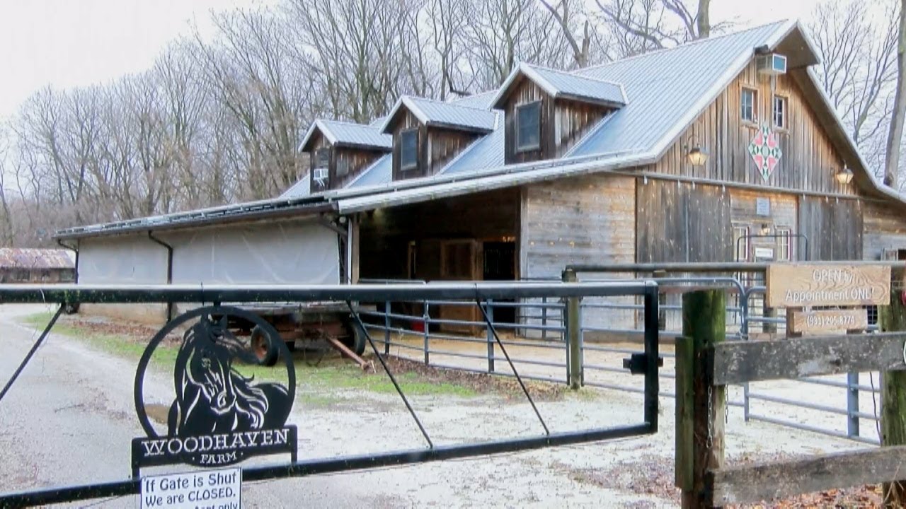 Гаражная распродажа поможет собрать средства для местной организации по спасению скота.