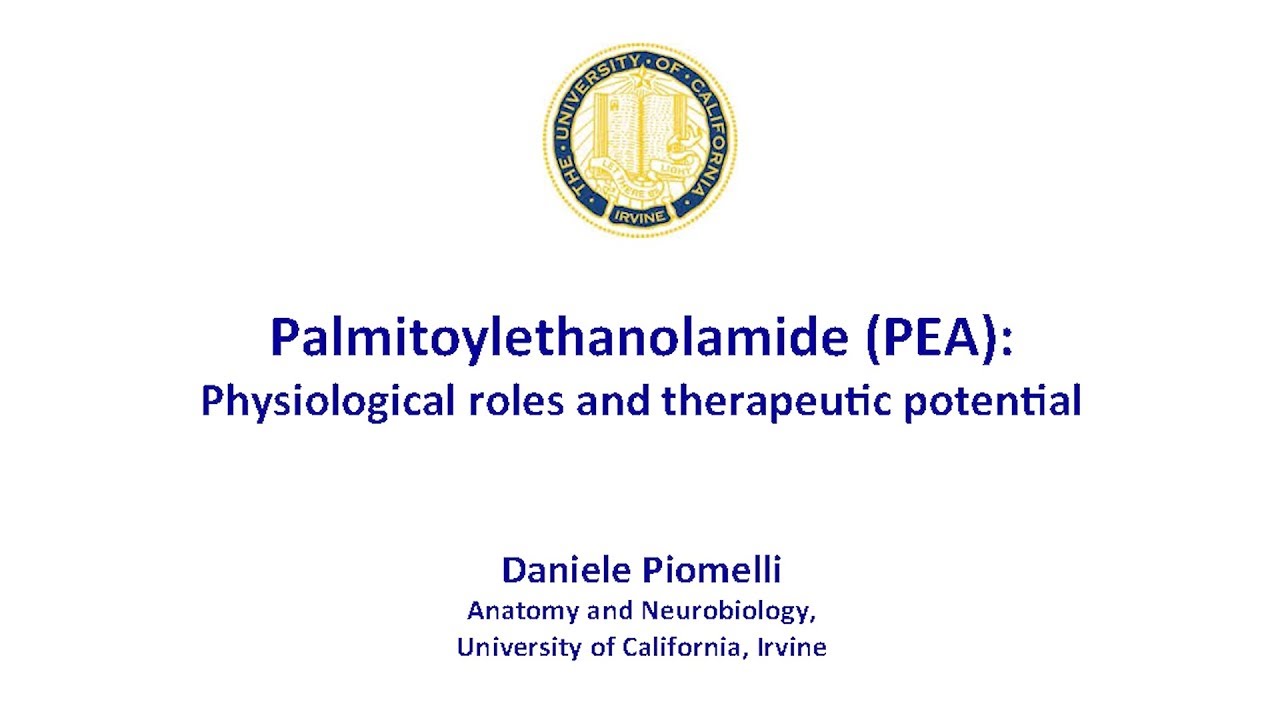 Science Behind PEA with Dr. Daniele Piomelli