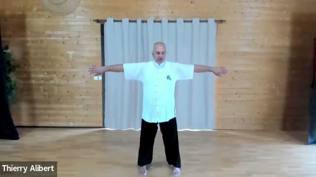 Cours N°2 Qi Gong 3ème cervicales et marche de la Tortue par Thierry Alibert
