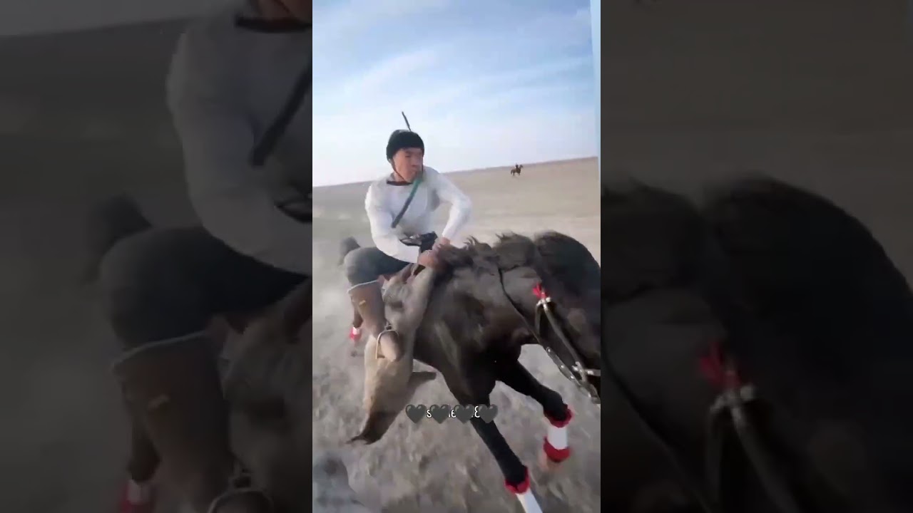 ана чавандоз🏇🏇🏇 #horse #automobile #kopkari #лошади #rek #ot #horseriding #лошадь #конноеранчо