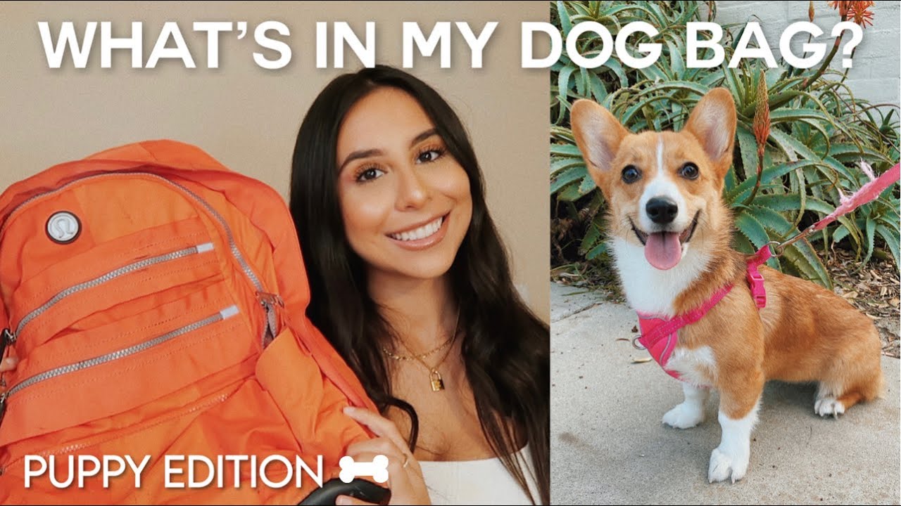 WHAT’S IN MY DOG BAG? | Complete, Must-Have, Everyday Puppy Essentials Haul |ft. Corgi Maui + Romary