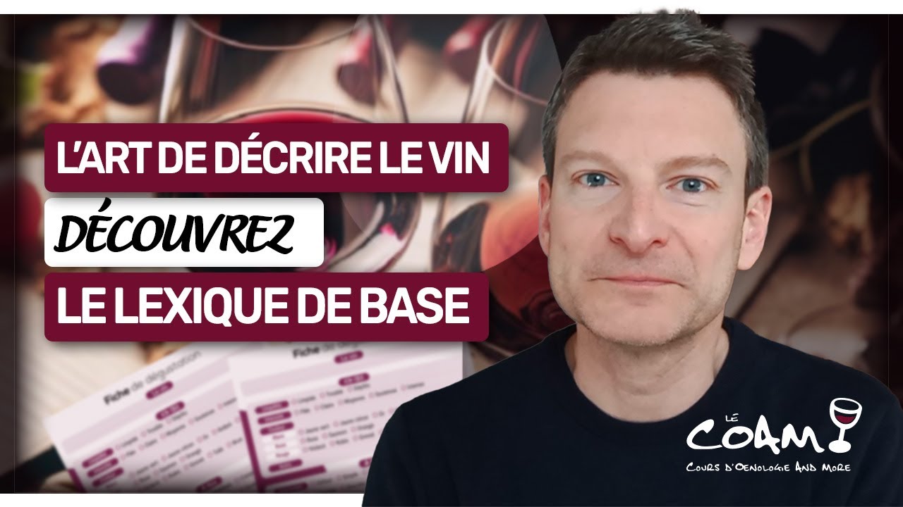 L'art de décrire un vin : découvrez le lexique de base