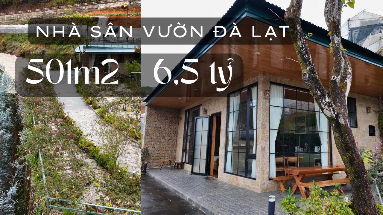 Nhà Sân Vườn Đà Lạt 501m² – Mặt Tiền 41m | Gần Chùa Linh Phước | 6,5 Tỷ