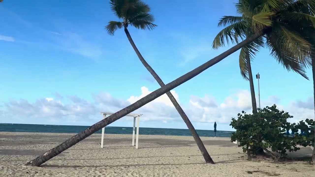 All Inclusive Hotel | Emotions | Puerto Plata | ASMR