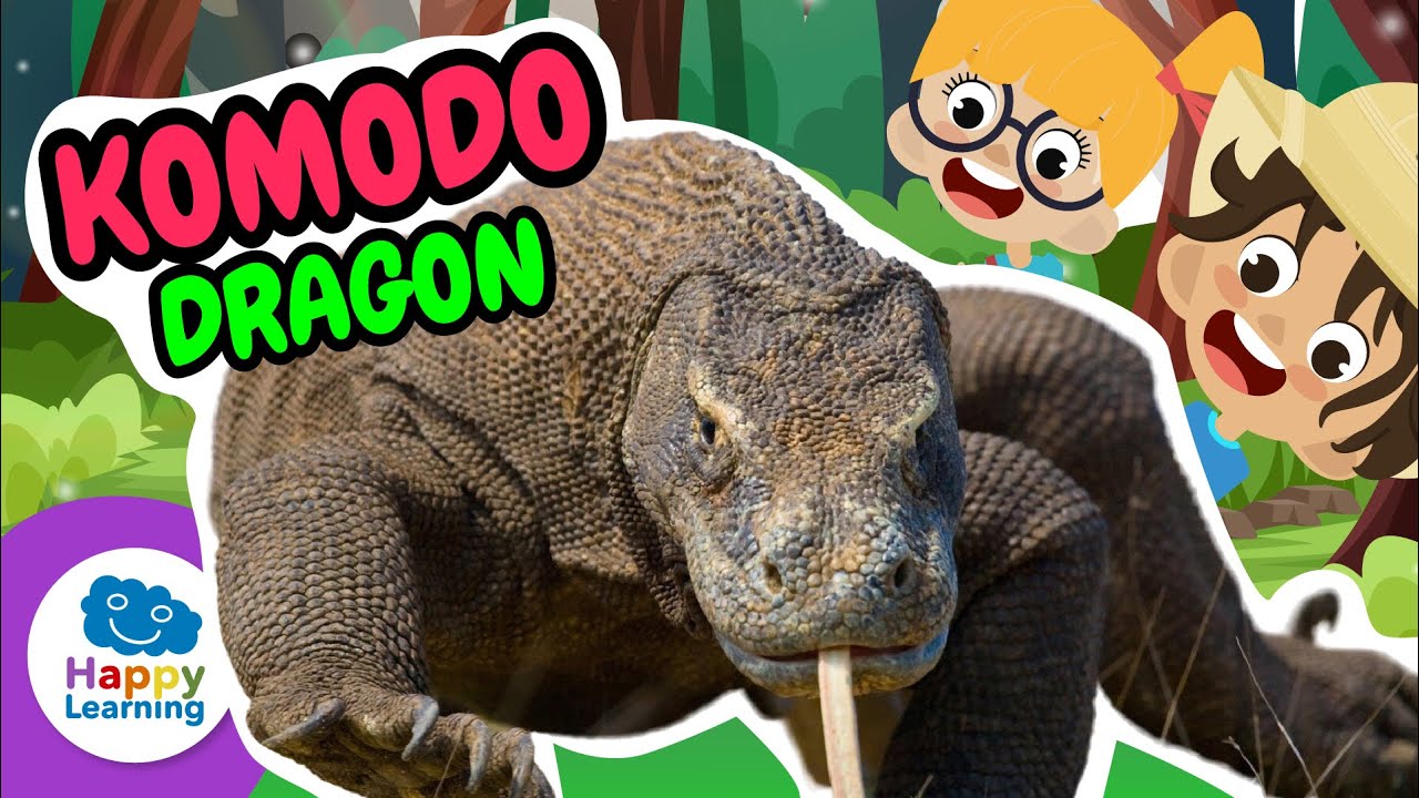 Komodo Dragon Facts: The Largest Lizard in the World! 🦎 | @Happy Learning English