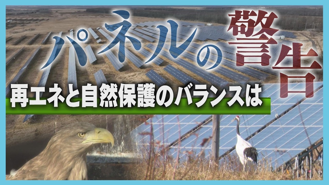 希少生物への悪影響懸念　揺れるメガソーラー　複数の法令違反で工事中止も　法整備が急務　北海道
