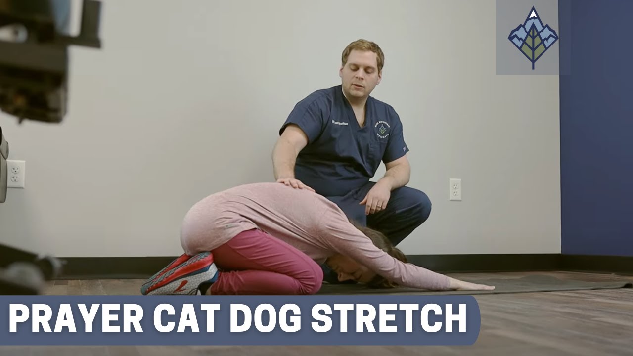 Prayer Cat Dog Stretch