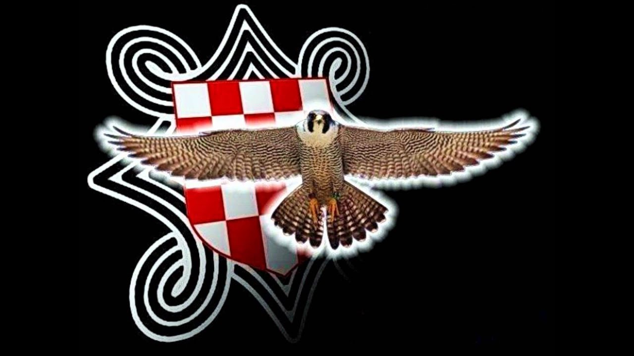 Zlatko Pejaković- Oj ti vilo, vilo Velebita.wmv
