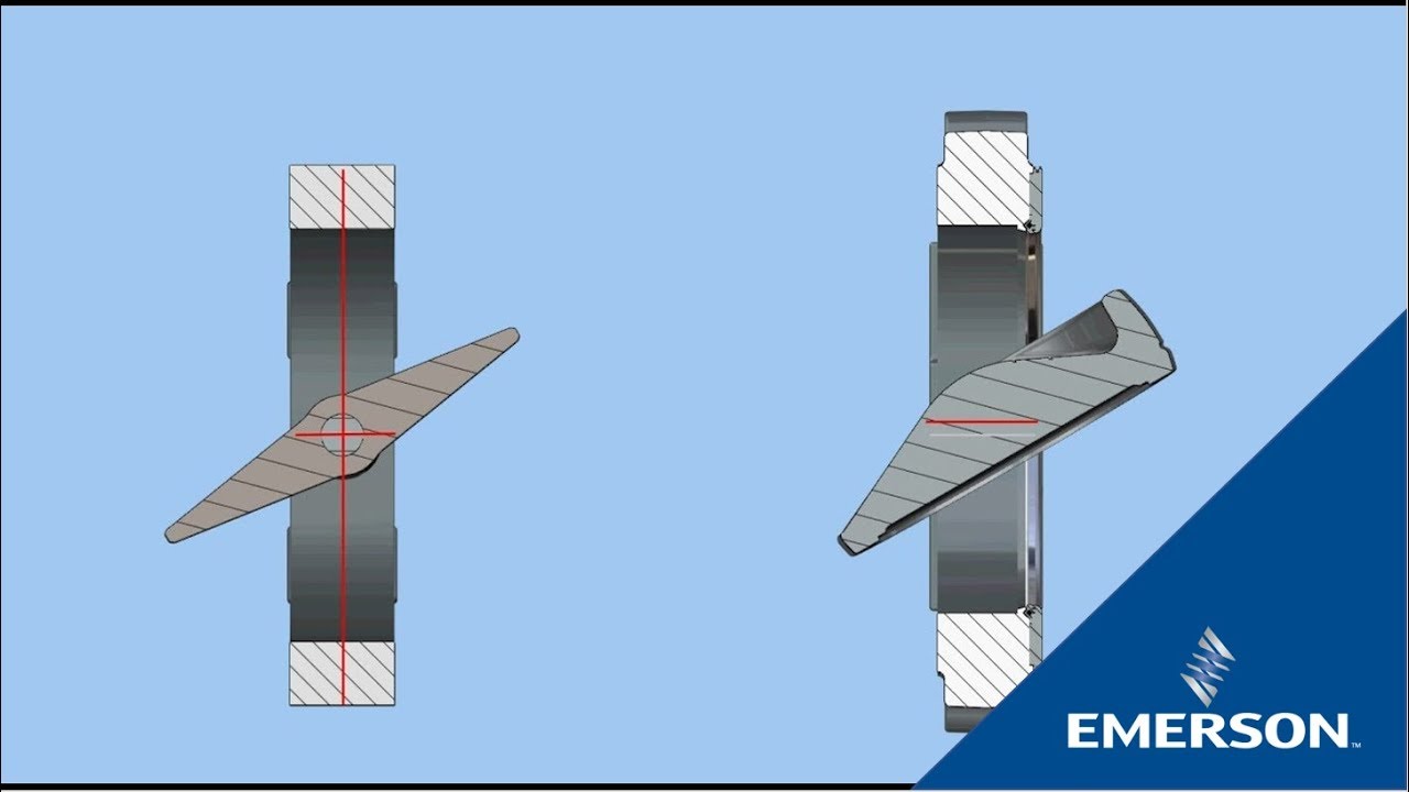 What are the Components of a Butterfly Valve?