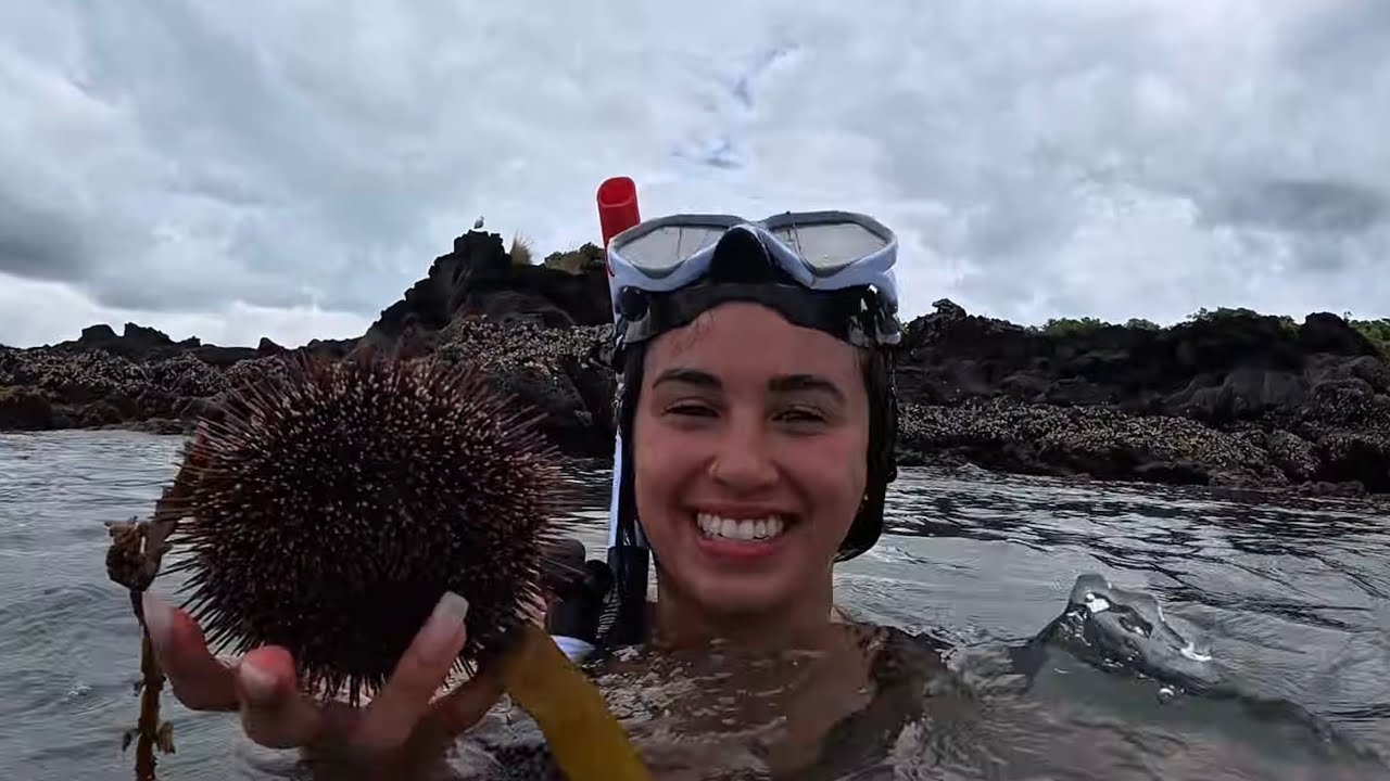 STRANGERS From TikTok Took Me on My First Ever Kina Dive | Last Day of my NZ Solo Trip 🇳🇿