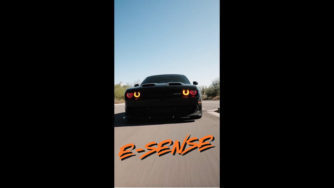 E-Sense. Built to Dominate
