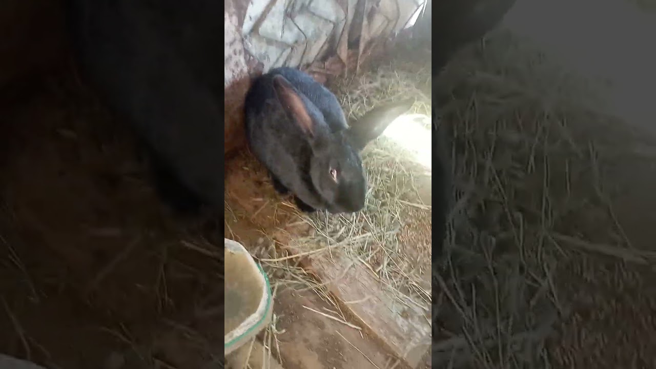 1 марта 2026 г.