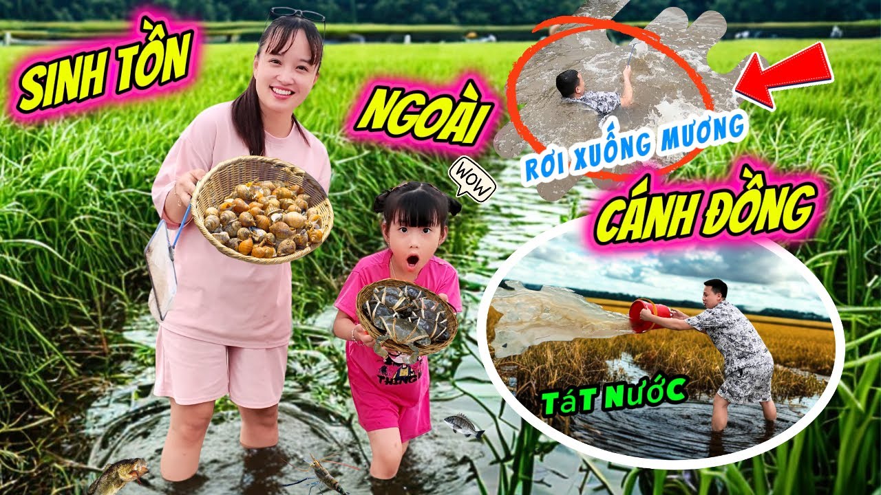 Sinh Tồn Ngoài Cánh Đồng - Mẹ Huế Và MiMi Mò Cua Bắt Ốc, Bố Hoàng Rơi Xuống Mương Hài Hước
