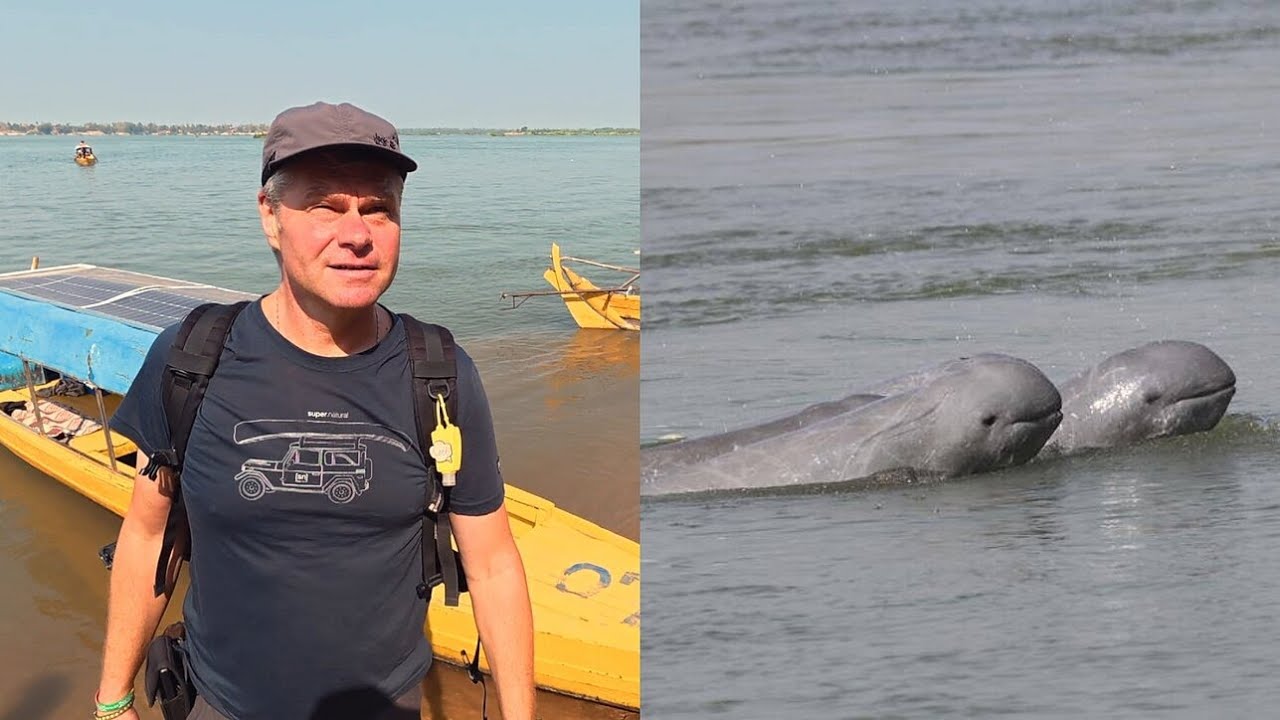 Upėje delfinus upėje stebėję Sutkai: galbūt gyvenime daugiau nieko panašaus nepamatysim