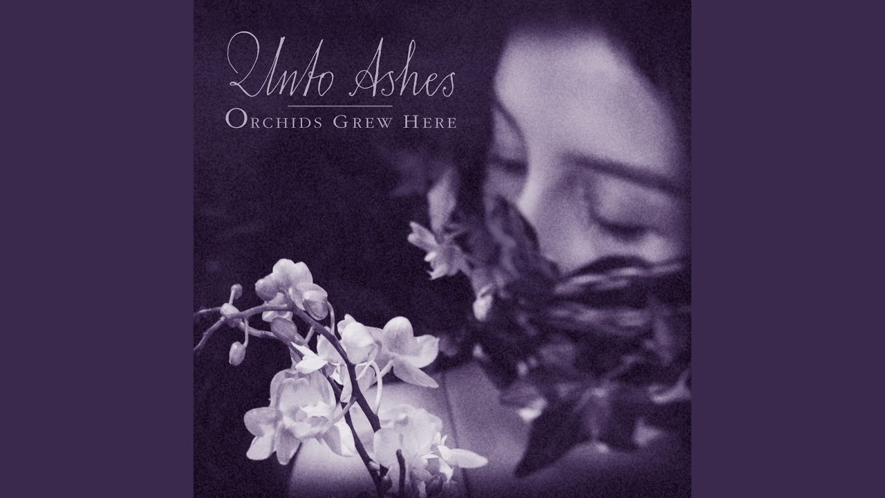 Orchids Fade