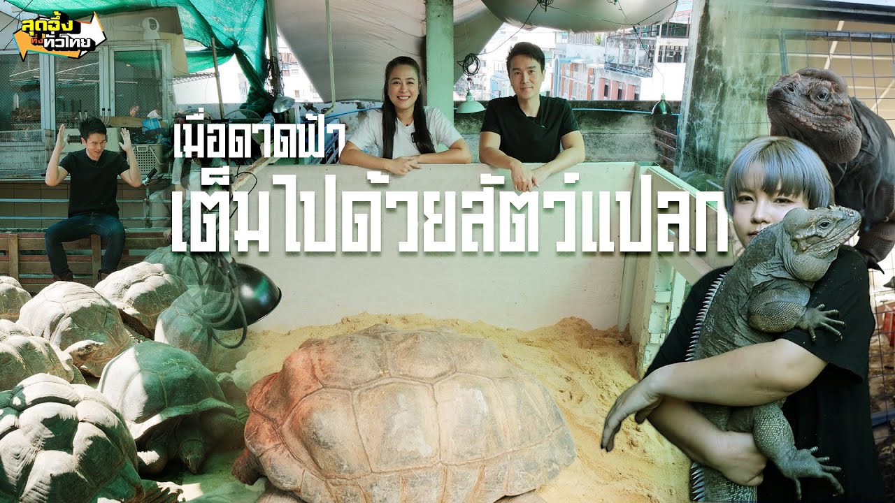 อาณาจักรสัตว์แปลกบนดาดฟ้า | สุดอึ้งทึ่งทั่วไทย