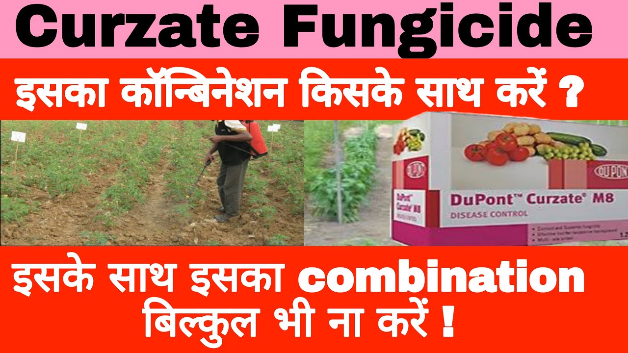 dupont curzate m8 | dupont curzate fungicide uses | curzate fungicide | curzate m8 fungicide |