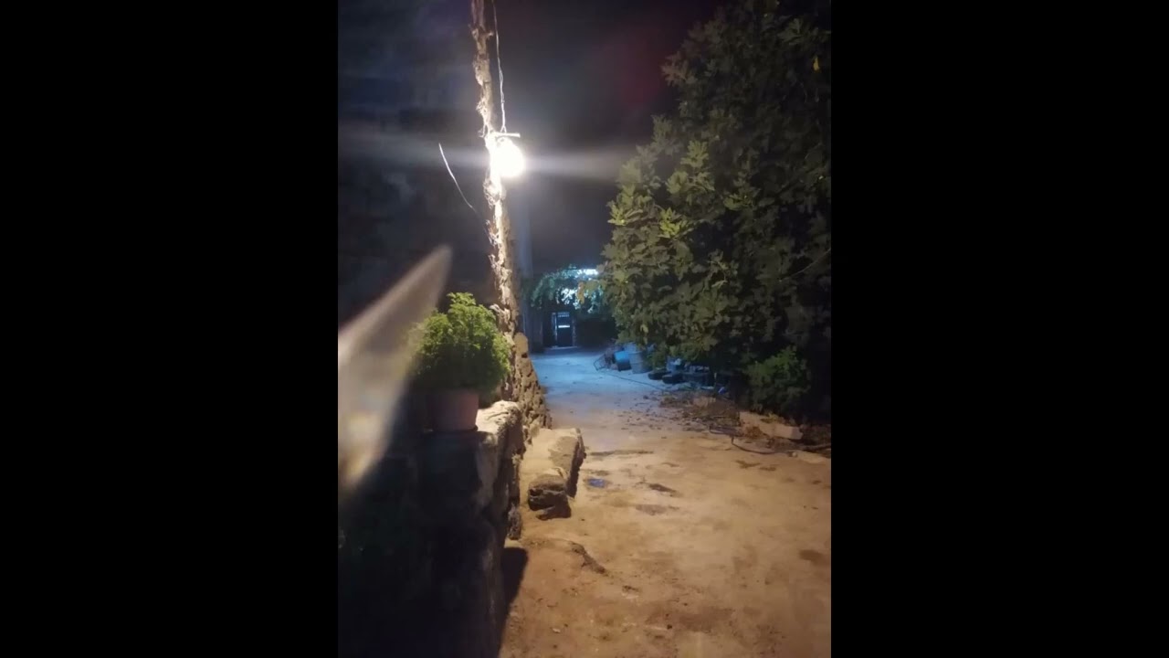 يوم نط عدى الرقيبة راس مشـــذوبه - أداء قرية خبب بافراحها