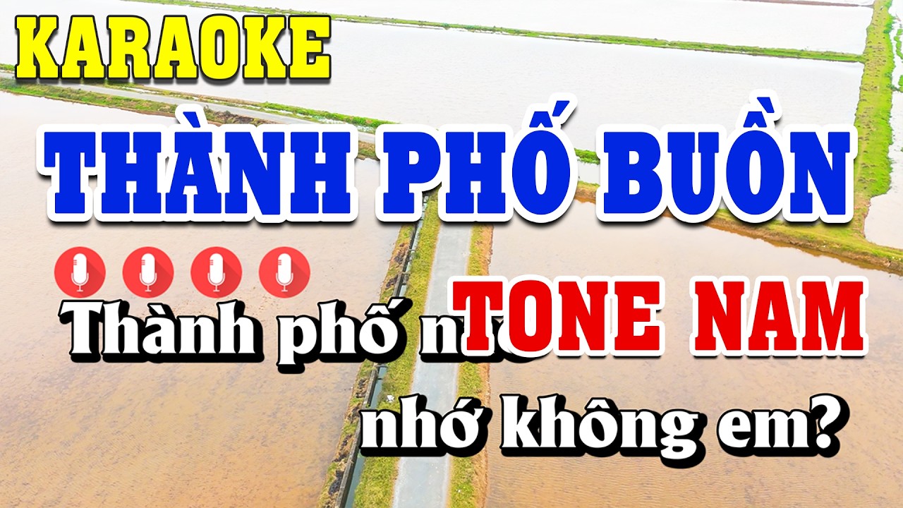 Thành Phố Buồn Karaoke Tone Nam ( Fm ) Beat Chuẩn | Linh Linh Karaoke